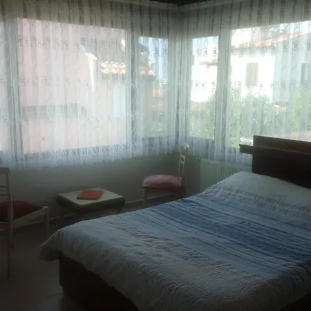 Beray Ayvalı