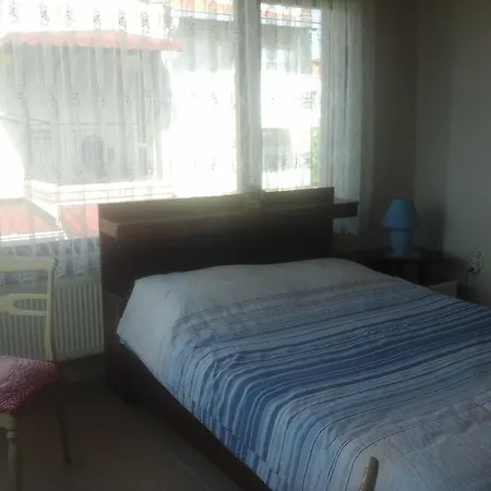 Beray Ayvalı